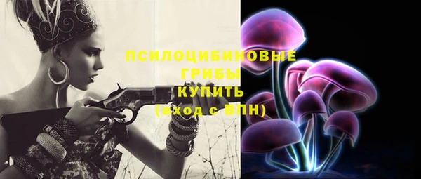 ПСИЛОЦИБИНОВЫЕ ГРИБЫ Краснослободск