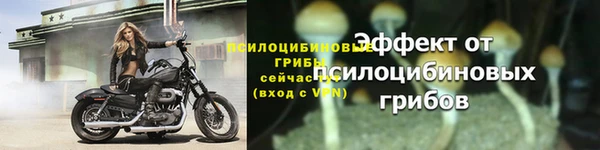 ПСИЛОЦИБИНОВЫЕ ГРИБЫ Краснослободск